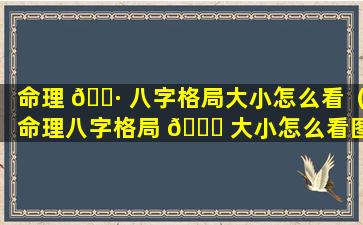 命理 🌷 八字格局大小怎么看（命理八字格局 🐛 大小怎么看图解）